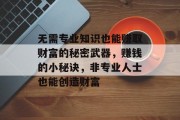 无需专业知识也能赚取财富的秘密武器，赚钱的小秘诀，非专业人士也能创造财富