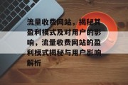 流量收费网站，揭秘其盈利模式及对用户的影响，流量收费网站的盈利模式揭秘与用户影响解析