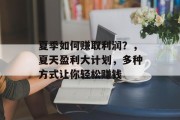 夏季如何赚取利润？，夏天盈利大计划，多种方式让你轻松赚钱