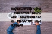 揭秘网站流量增长之道，如何有效提升网站访问量，网站流量增长秘籍，揭秘高效提升访问量的策略