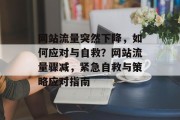 网站流量突然下降，如何应对与自救？网站流量骤减，紧急自救与策略应对指南