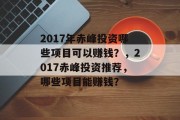 2017年赤峰投资哪些项目可以赚钱？，2017赤峰投资推荐，哪些项目能赚钱？
