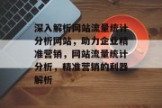 深入解析网站流量统计分析网站，助力企业精准营销，网站流量统计分析，精准营销的利器解析