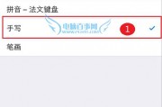 苹果输入怎么设置手写输入的简单介绍