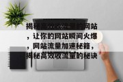 揭秘高效收流量的网站，让你的网站瞬间火爆，网站流量加速秘籍，揭秘高效收流量的秘诀