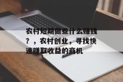 农村短期做些什么赚钱？，农村创业，寻找快速赚取收益的商机