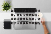 如何使网站获得海量流量，全方位策略解析，网站流量增长秘籍，全方位流量获取策略解析