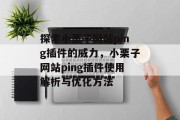 探索小栗子网站ping插件的威力，小栗子网站ping插件使用解析与优化方法
