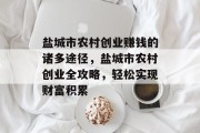 盐城市农村创业赚钱的诸多途径，盐城市农村创业全攻略，轻松实现财富积累
