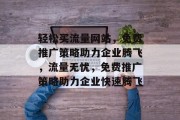 轻松买流量网站，免费推广策略助力企业腾飞，流量无忧，免费推广策略助力企业快速腾飞