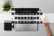 揭秘流量流向图网站，如何洞察网络流量奥秘，洞察网络流量秘密，揭秘流量流向图网站攻略