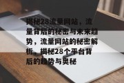 揭秘28流量网站，流量背后的秘密与未来趋势，流量网站的秘密解析，揭秘28个平台背后的趋势与奥秘