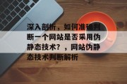 深入剖析，如何准确判断一个网站是否采用伪静态技术？，网站伪静态技术判断解析