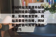 揭秘网站流量提升秘诀，如何给自己网站买流量，实现精准营销，网站流量提升攻略，揭秘精准营销与高效流量购买技巧