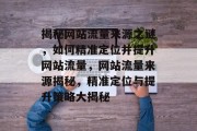 揭秘网站流量来源之谜，如何精准定位并提升网站流量，网站流量来源揭秘，精准定位与提升策略大揭秘