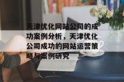 天津优化网站公司的成功案例分析，天津优化公司成功的网站运营策略与案例研究
