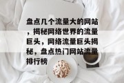 盘点几个流量大的网站，揭秘网络世界的流量巨头，网络流量巨头揭秘，盘点热门网站流量排行榜