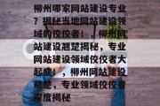 柳州哪家网站建设专业？揭秘当地网站建设领域的佼佼者！，柳州网站建设翘楚揭秘，专业网站建设领域佼佼者大起底！，柳州网站建设翘楚，专业领域佼佼者深度揭秘