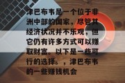 津巴布韦是一个位于非洲中部的国家，尽管其经济状况并不乐观，但它仍有许多方式可以赚取财富。以下是一些可行的选择。，津巴布韦的一些赚钱机会
