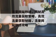 流量网站秒进，揭秘高效流量获取策略，高效流量获取秘籍，流量网站秒进攻略