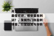 开发行业: 哪些项目最受欢迎，哪些最有利润？，发掘热门和盈利项目，行业趋势与分析
