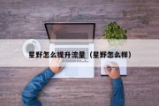 星野怎么提升流量（星野怎么样）
