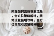 网站如何高效获取流量，全方位策略解析，网站流量倍增攻略，全方位高效引流策略揭秘