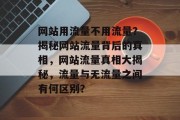 网站用流量不用流量？揭秘网站流量背后的真相，网站流量真相大揭秘，流量与无流量之间有何区别？