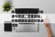 网站流量超标背后的机遇与挑战，流量超标，挖掘网络机遇应对挑战之路