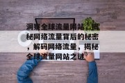 洞察全球流量网站，揭秘网络流量背后的秘密，解码网络流量，揭秘全球流量网站之谜