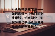 小众领域创业之道——如何选择一个热门的副业赚钱，热点副业，如何为自己的小众领域寻找适合的创业机会?