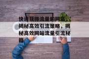 快速获得流量的网站，揭秘高效引流策略，揭秘高效网站流量引流秘籍