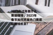 2023年过年做什么赛道赚钱,2023年春节如何把握热门赛道的赚钱机会?