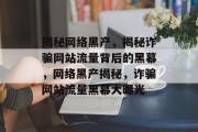 揭秘网络黑产，揭秘诈骗网站流量背后的黑幕，网络黑产揭秘，诈骗网站流量黑幕大曝光