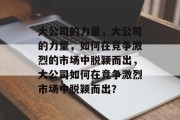 大公司的力量，大公司的力量，如何在竞争激烈的市场中脱颖而出，大公司如何在竞争激烈市场中脱颖而出？