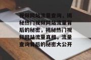 视频网站流量查询，揭秘热门视频网站流量背后的秘密，揭秘热门视频网站流量真相，流量查询背后的秘密大公开
