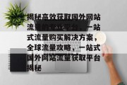 揭秘高效获取国外网站流量的专业平台，一站式流量购买解决方案，全球流量攻略，一站式国外网站流量获取平台揭秘