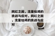 网红之困，流量枯竭的挑战与应对，网红之困，流量枯竭的挑战与应对