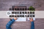 抖音电商流量层级解析，揭秘抖音电商流量层级网站如何助力商家腾飞
