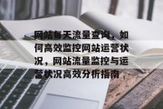 网站每天流量查询，如何高效监控网站运营状况，网站流量监控与运营状况高效分析指南