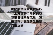揭秘网站流量扒取技巧，全方位解析如何高效获取目标网站流量，深度揭秘，高效网站流量获取攻略