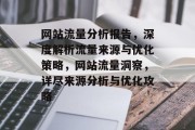 网站流量分析报告，深度解析流量来源与优化策略，网站流量洞察，详尽来源分析与优化攻略