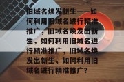 旧域名焕发新生——如何利用旧域名进行精准推广，旧域名焕发出新生，如何利用旧域名进行精准推广，旧域名焕发出新生，如何利用旧域名进行精准推广？