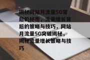 揭秘网站月流量5G背后的秘密，流量增长背后的策略与技巧，网站月流量5G突破揭秘，揭秘流量增长策略与技巧