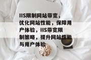 IIS限制网站带宽，优化网站性能，保障用户体验，IIS带宽限制策略，提升网站性能与用户体验