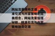 网站流量提升之道，精准引流与内容策略的完美结合，网站流量倍增秘籍，精准引流与内容策略融合之道