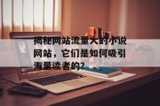 揭秘网站流量大的小说网站，它们是如何吸引海量读者的？