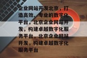企业网站开发北京，打造高效、专业的数字化平台，北京企业网站开发，构建卓越数字化服务平台，北京企业网站开发，构建卓越数字化服务平台