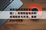 来宾如何实现财富的增值？，实现财富增长的关键因素与方法，来宾的经验分享