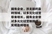 国有企业，涉足新的盈利领域，以多元化经营带来增长，国有企业尝试多元化经营新路径，实现盈利增长